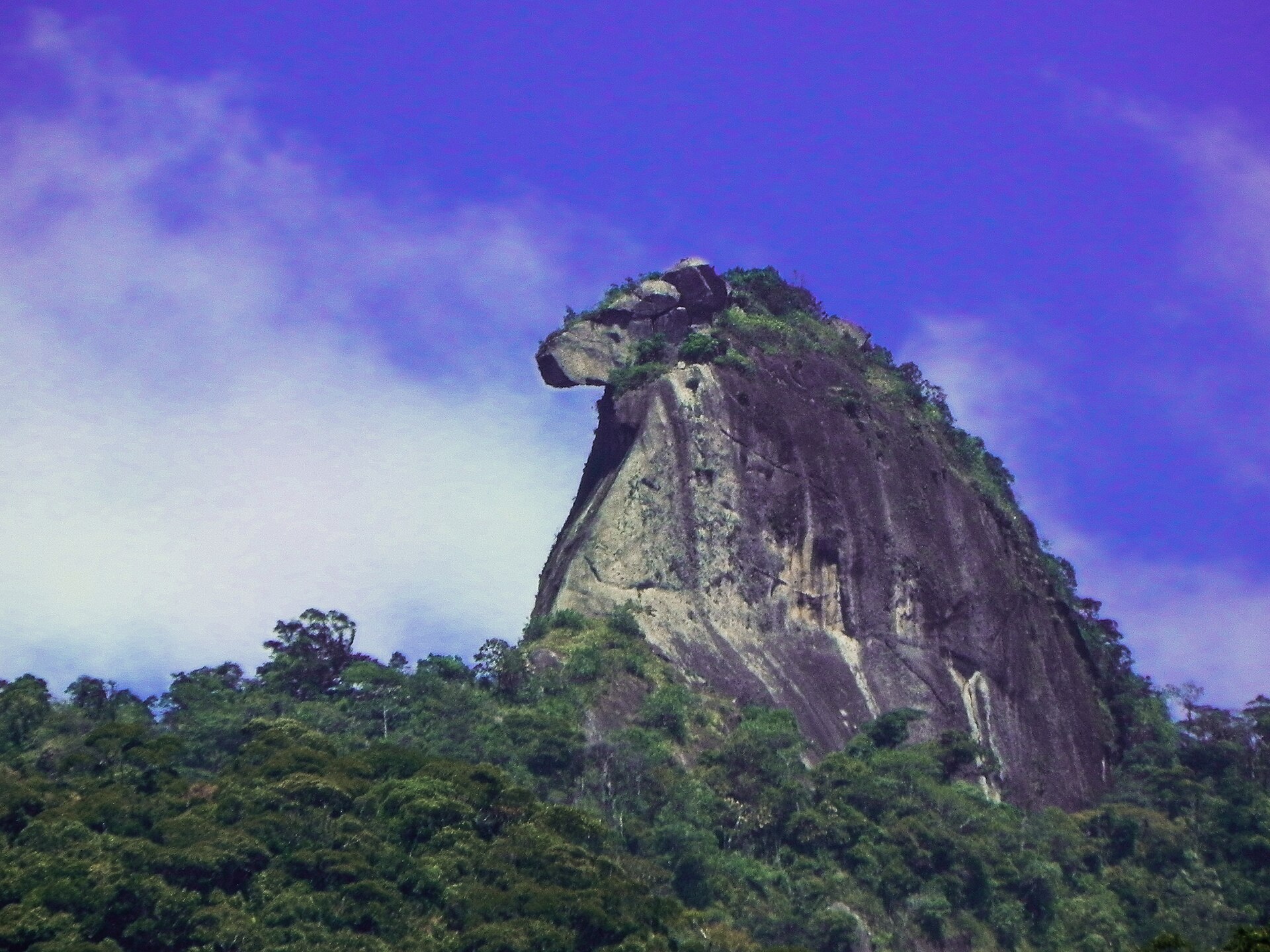 Imagem de referência de Pico do Papagaio, descrito nos dados abertos como pico na Ilha Grande, Rio de Janeiro