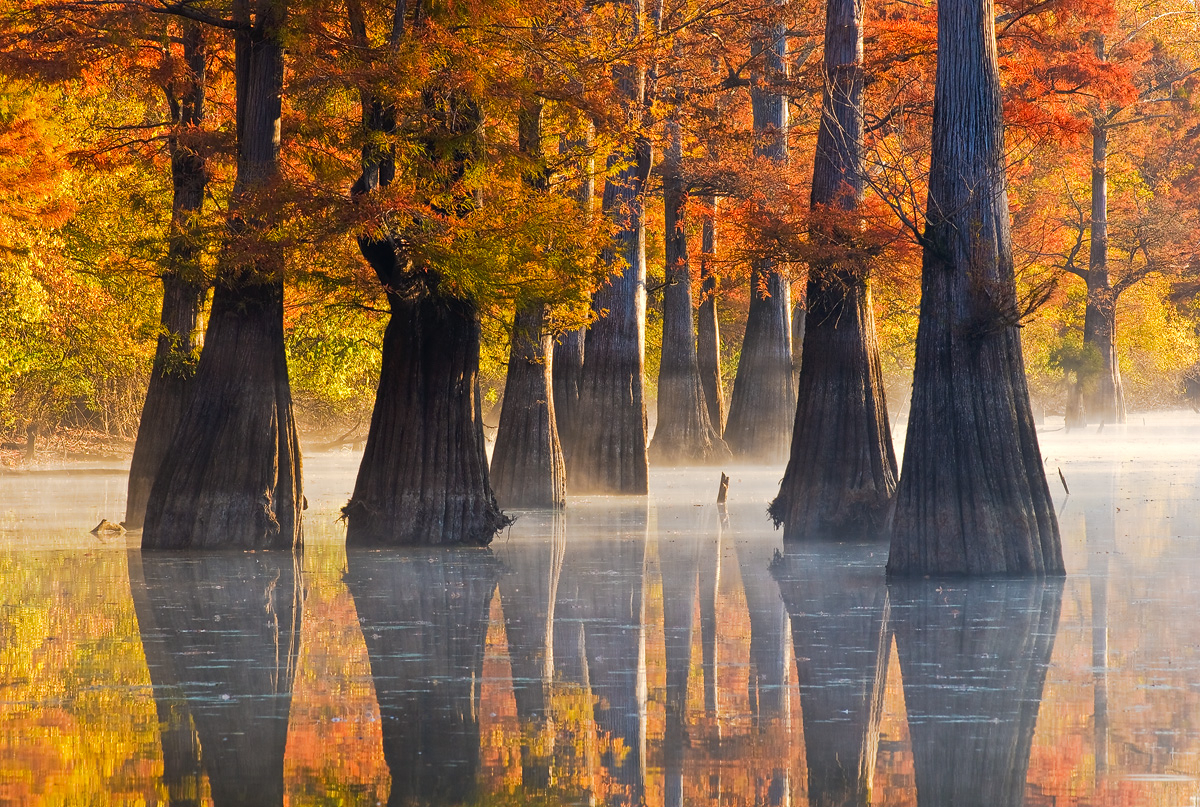 Imagem de referência relacionada a Arkansas, item descrito como estado dos Estados Unidos