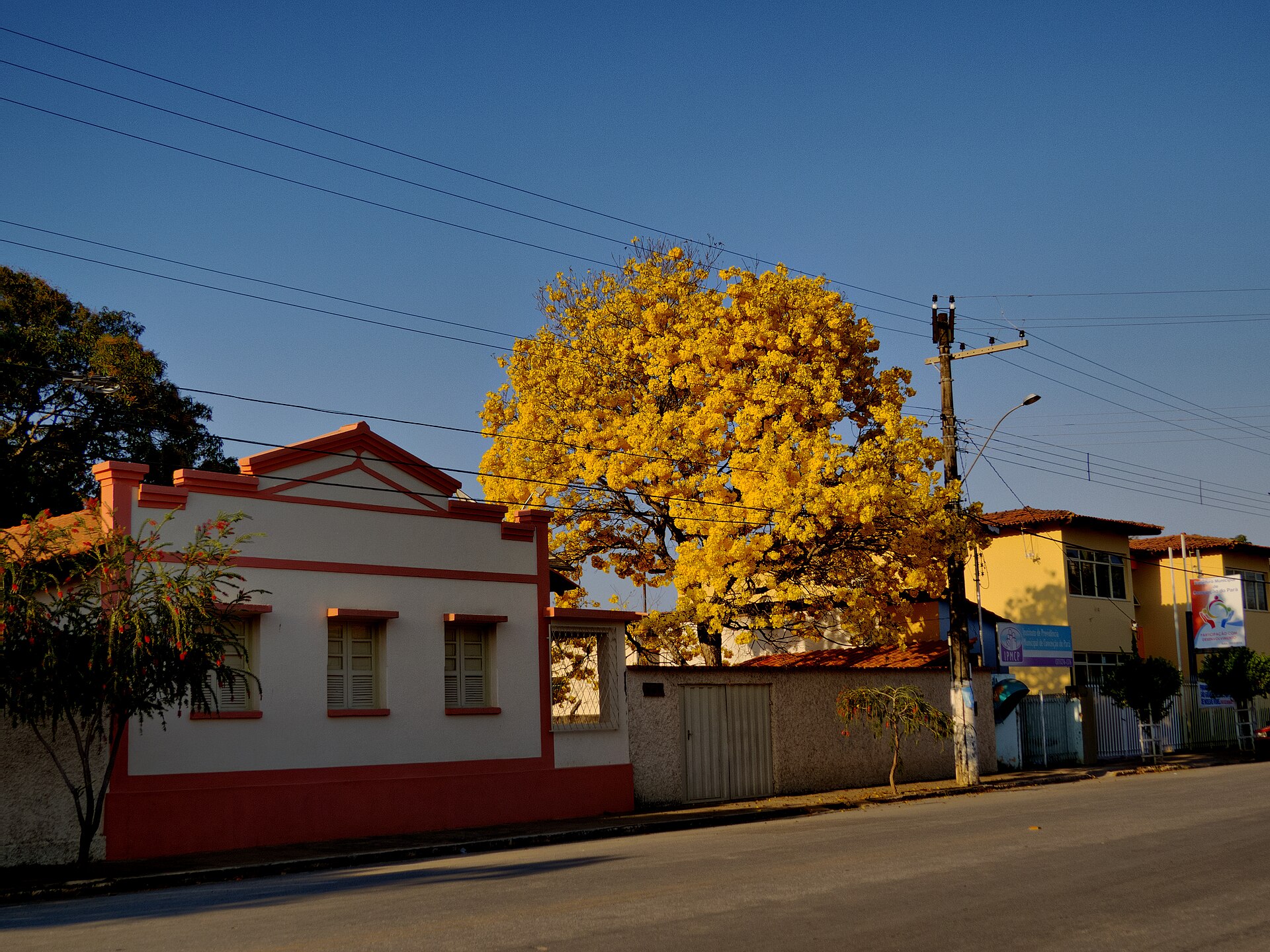 Imagem de referência de Conceição do Pará, descrito nos dados abertos como município brasileiro do estado de Minas Gerais