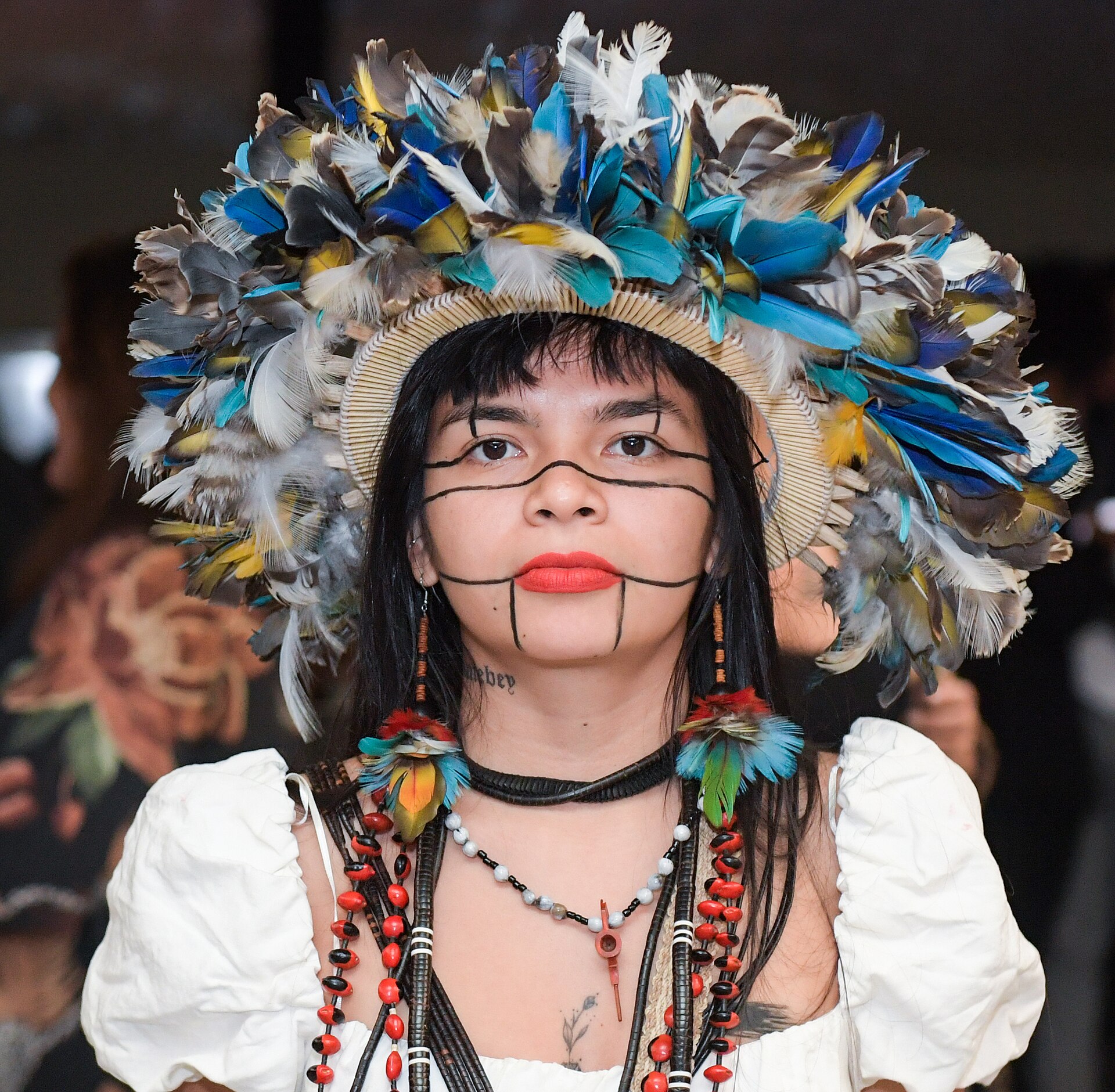 Imagem de referência de Suruí de Rondônia, descrito nos dados abertos como grupo etnico de indigenas brasileiros