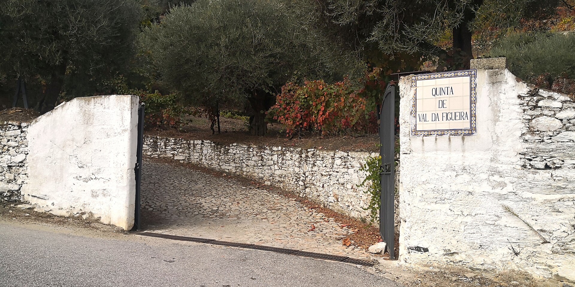 Imagem de referência relacionada a Quinta de Val da Figueira, item descrito como quinta em Covas do Douro, Sabrosa, Portugal