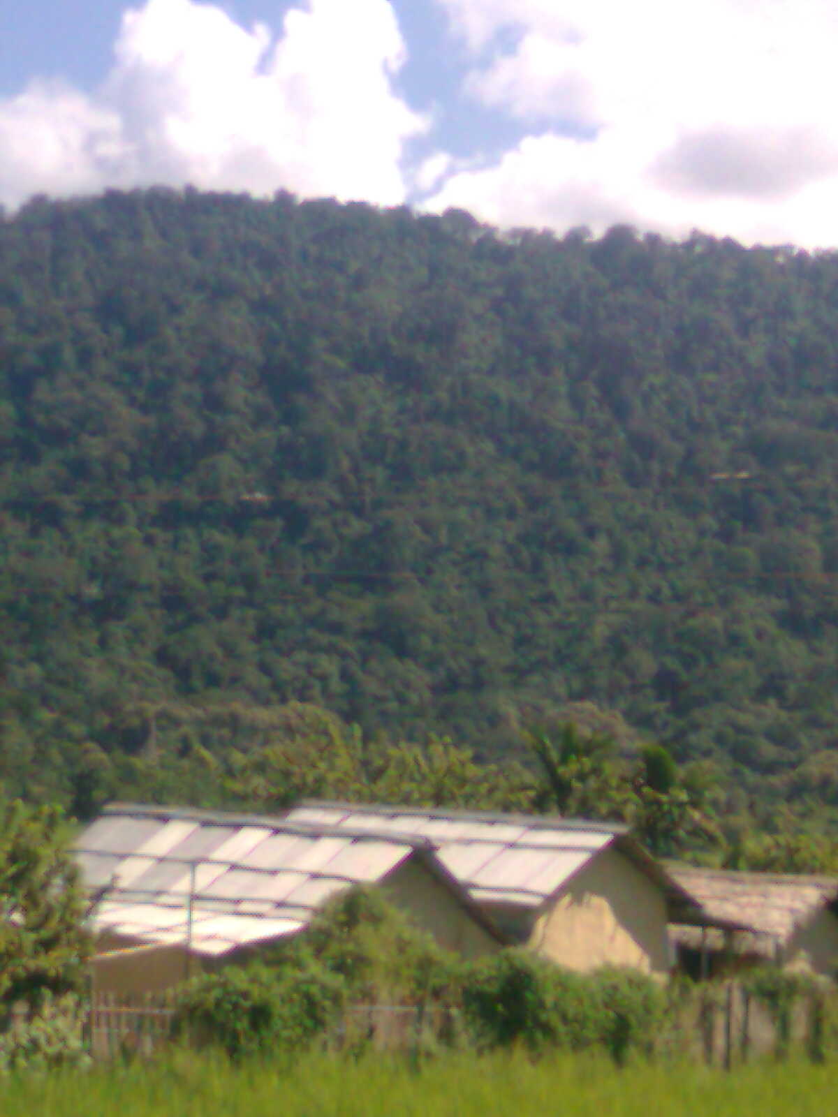 Imagem de referência relacionada a Umrangso, item descrito como registro de referência sobre Umrangso, organizado a partir de dados estruturados abertos