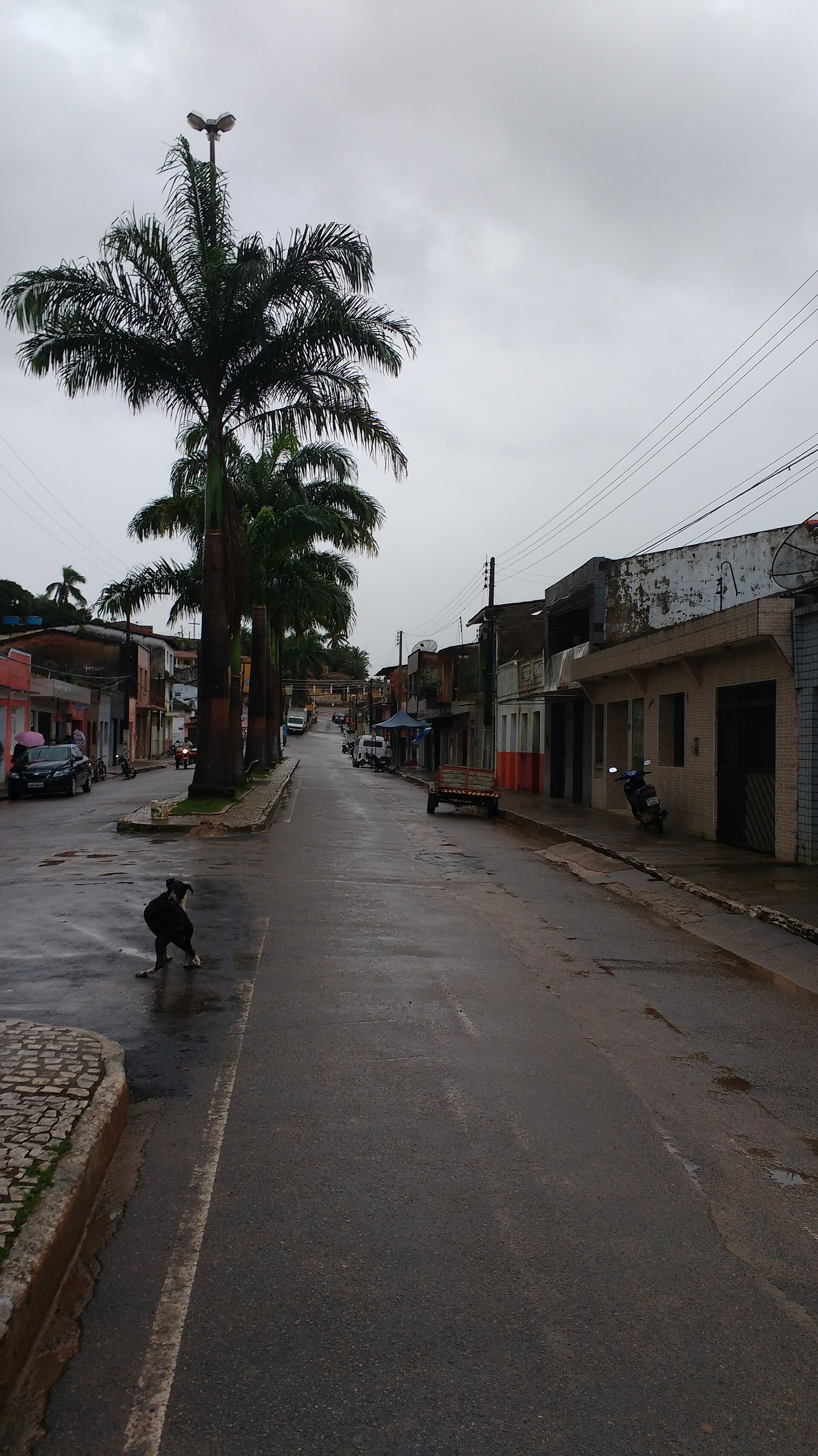 Imagem de referência de Jacuípe, descrito nos dados abertos como município brasileiro do estado de Alagoas