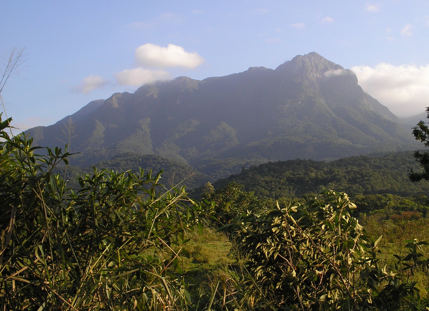 Imagem de referência de Parque Estadual do Pico Marumbi, descrito nos dados abertos como parque Estadual do Pico Marumbi de nível Estadual, localizado (a) em Morretes (PR), Piraquara (PR), Quatro Barras (PR)