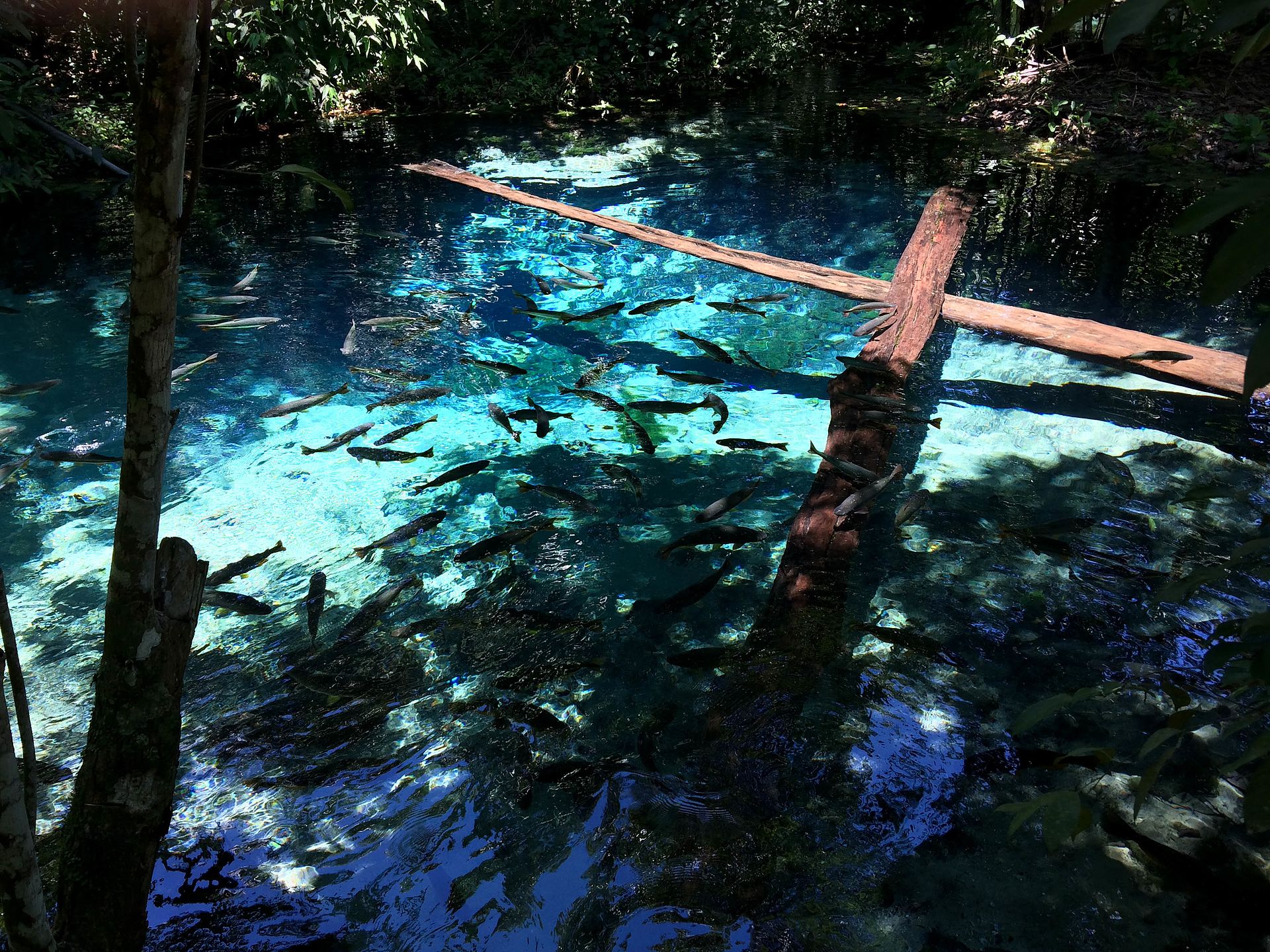 Imagem de referência de Parque Estadual Gruta da Lagoa Azul, descrito nos dados abertos como unidade de conservação da natureza pertencente ao governo do estado do Mato Grosso