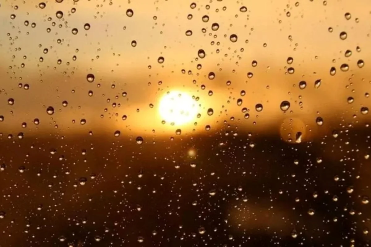 A previsão do tempo é de condições típicas do verão. Deve fazer calor de manhã e chuvas isoladas devem cair durante a tarde em São Paulo - Metrópoles