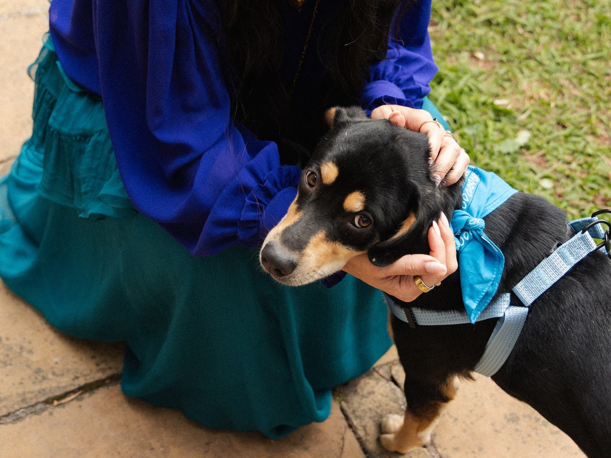 ‘Cachorros entram na vida da gente de um jeito muito doido, viram família mesmo’, diz Sabrina Sato