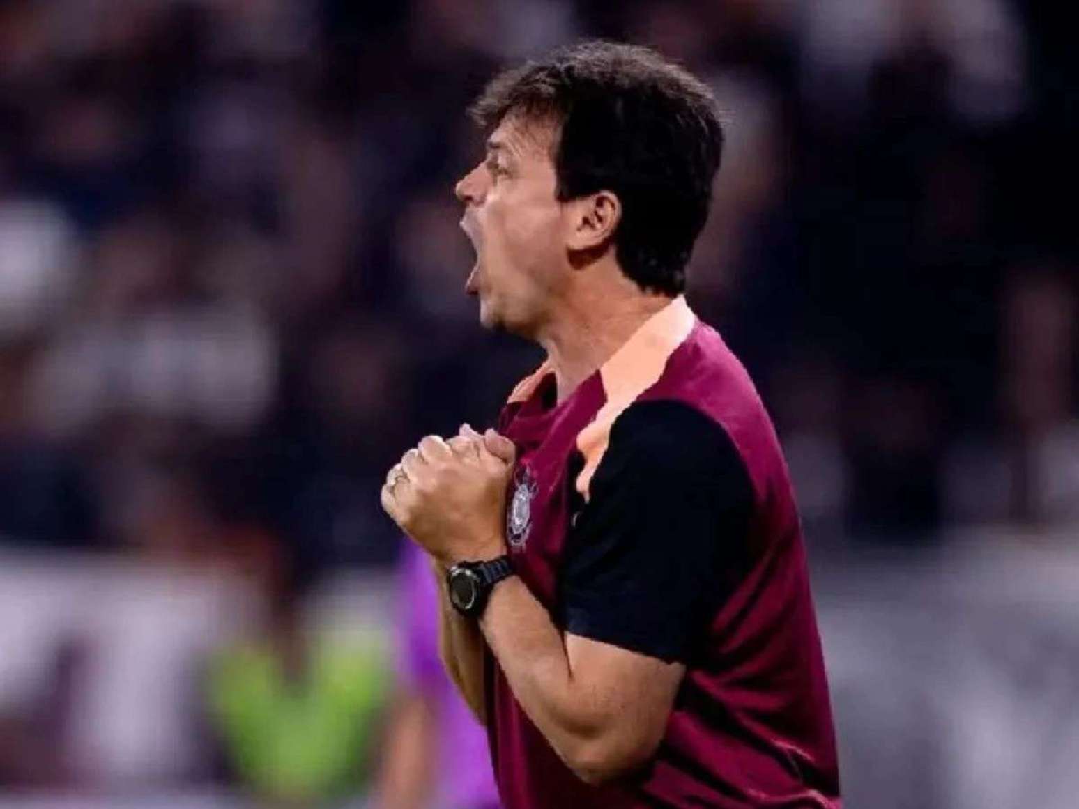Foto: Rodrigo Coca/ Corinthians
