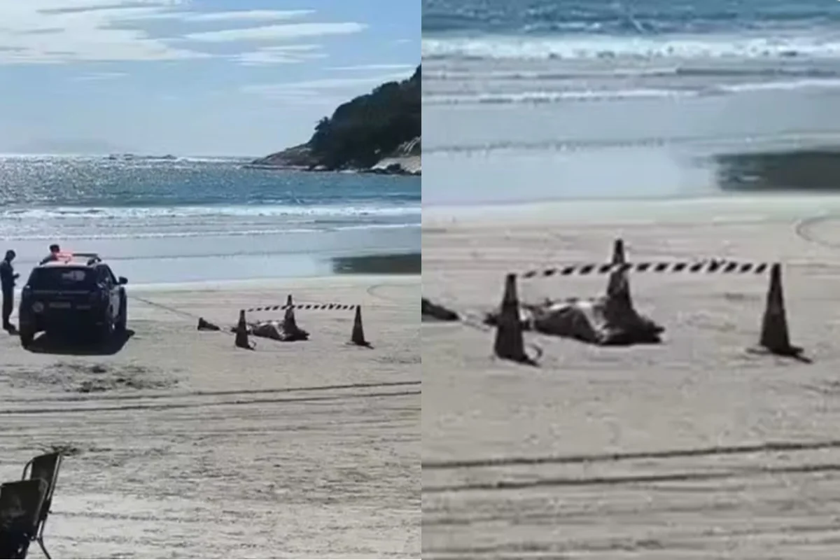 Imagem colorida de montagem de corpo encontrado na praia. Metrópoles