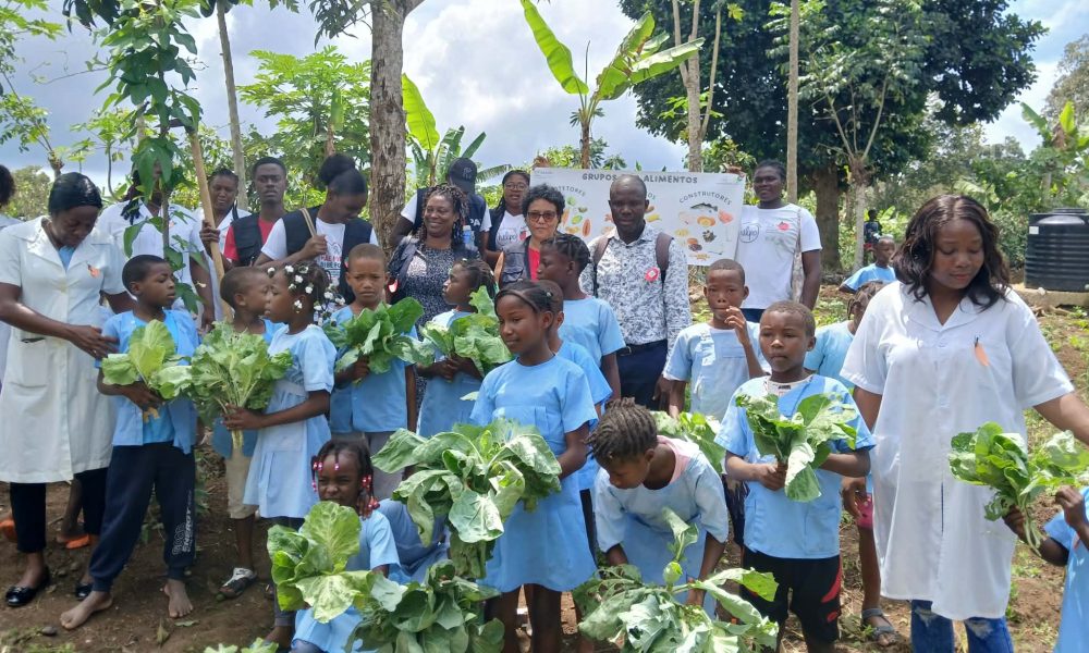 PAM reforça alimentação escolar sustentável em São Tomé e Príncipe com energia solar em 15 escolas