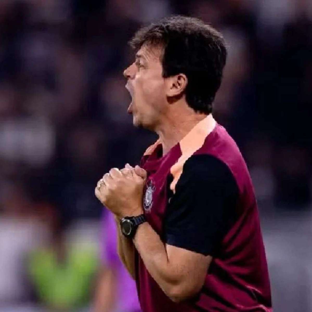 Corinthians publica rescisão com Fernando Diniz