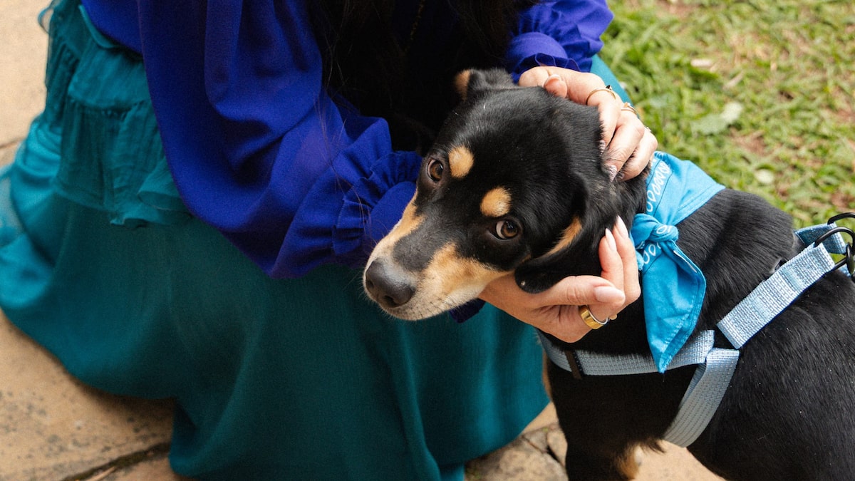 ‘Cachorros entram na vida da gente de um jeito muito doido, viram família mesmo’, diz Sabrina Sato